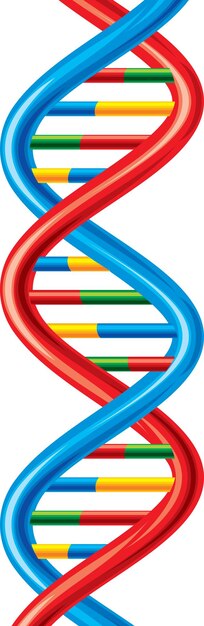 ADN